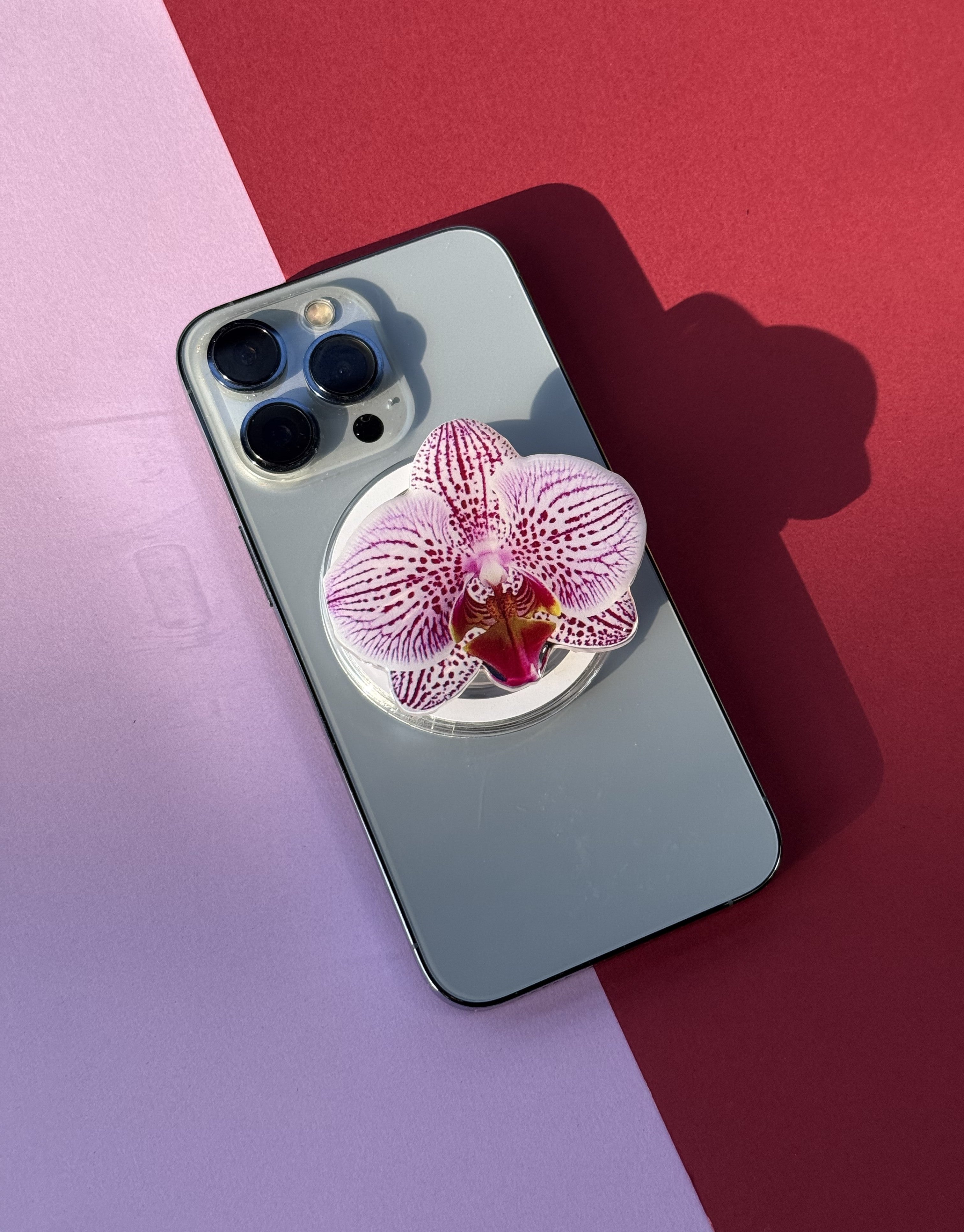 Purple Orchid