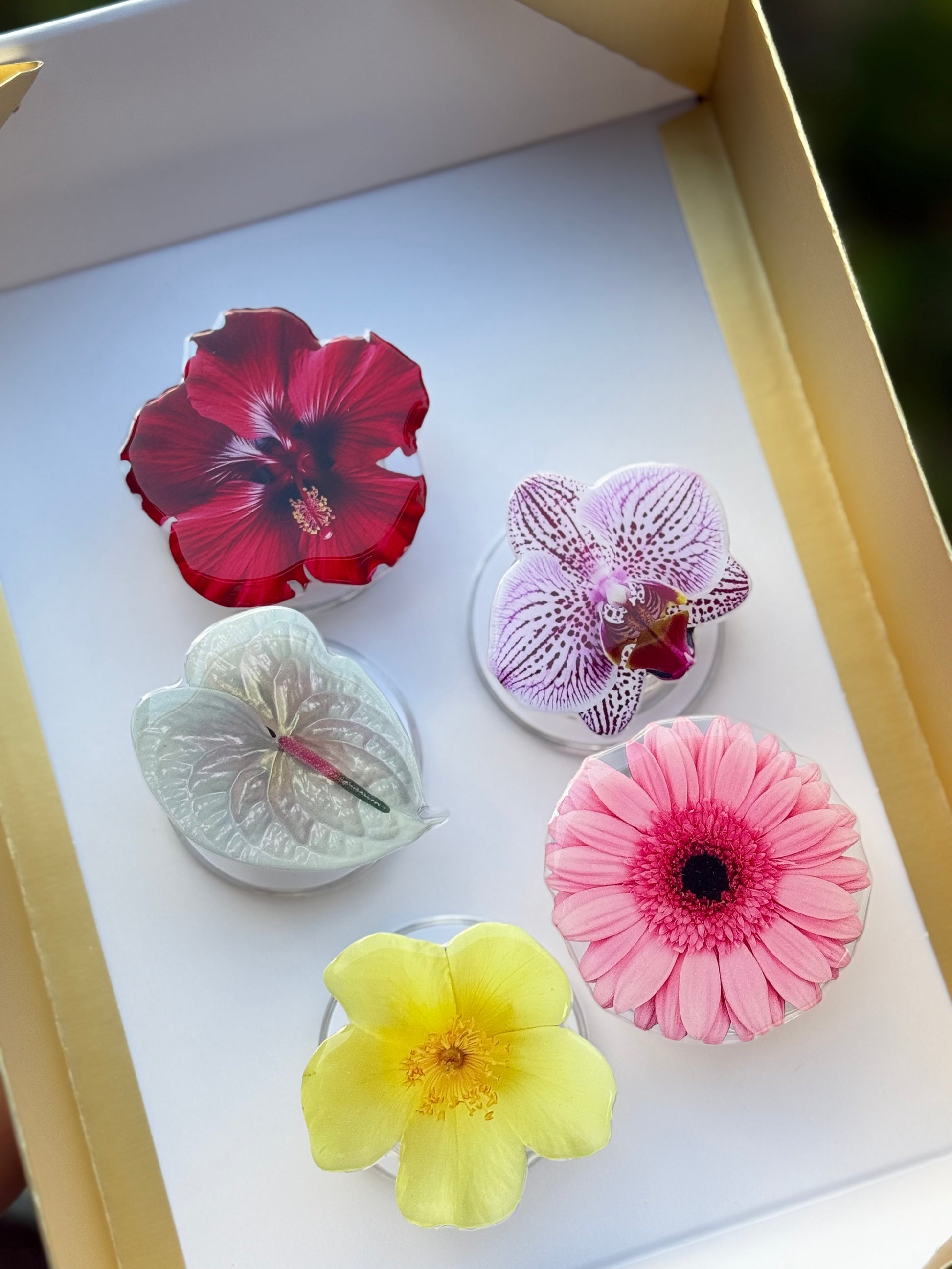 Halloween Box: 5 Pop sockets