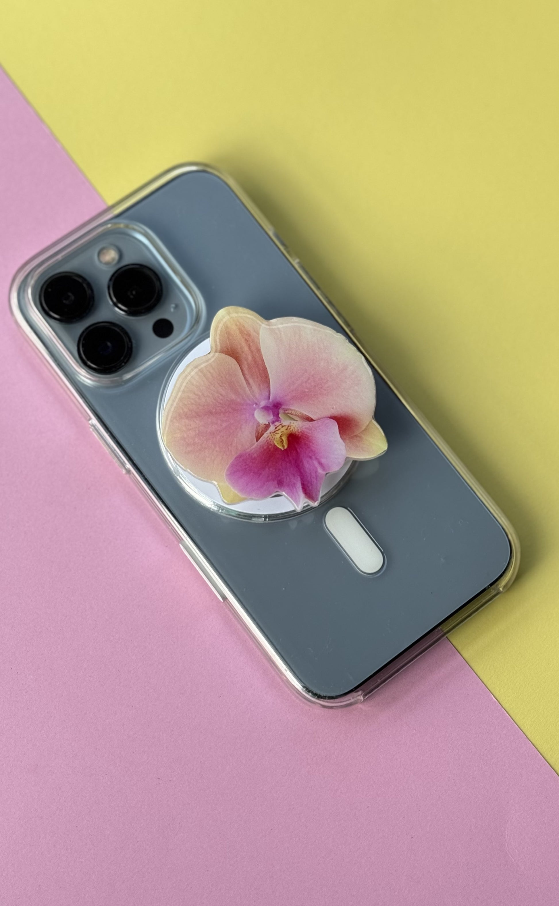 Yogurt Orchid