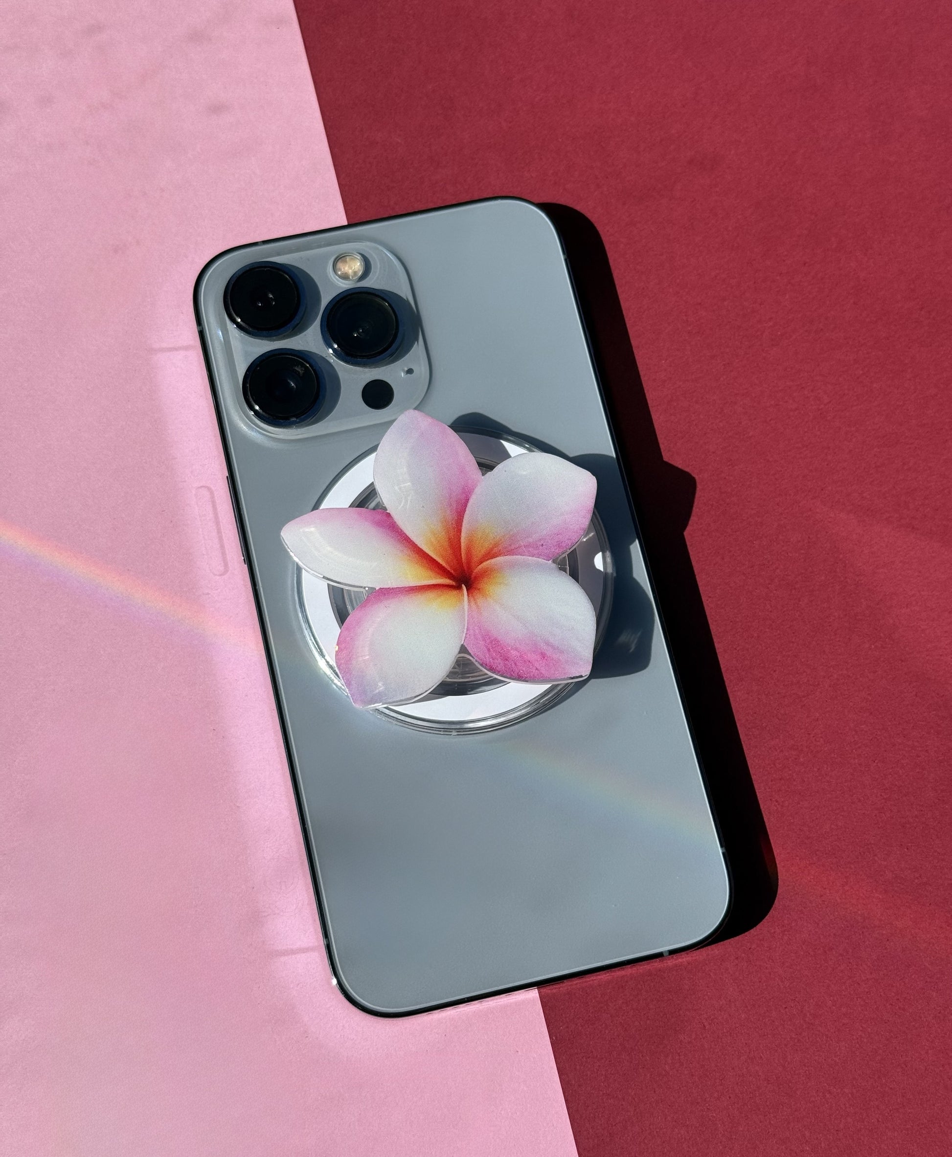 Hawaii Plumeria