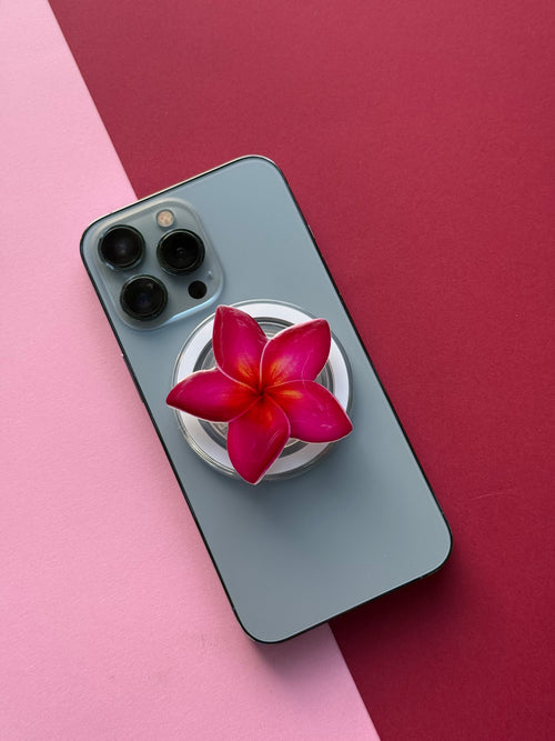 Aloha Plumeria